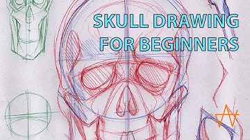 Skull drawing for beginners