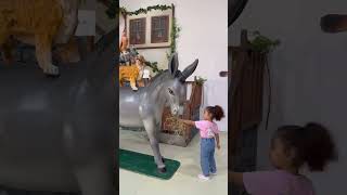 Eşeğin Ağzına Ver Samanları Yesin Şfetbeniöneçıkar