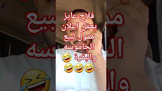 توفيق بتاع البهايم عايز يعمل اعلان ممول لبيع بقره وجاموسه ????