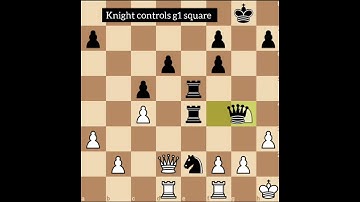 Chess Checkmate patterns . Anastasia Mate...