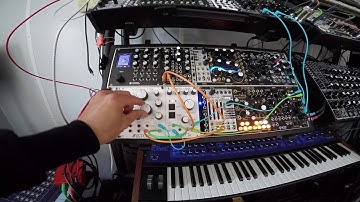 Modor Noisy Osc + Formant Filter