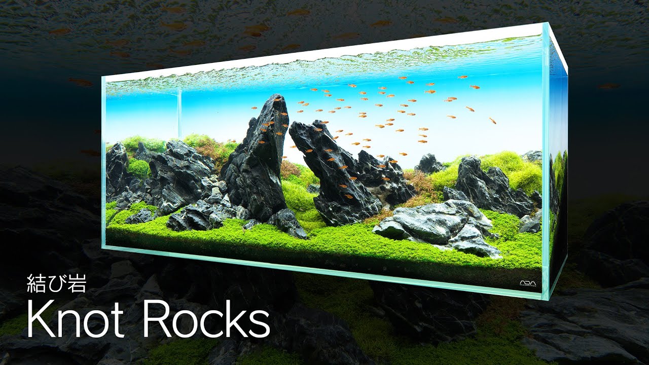 Adaview Knot Rocks 結び岩 1cm Aquarium Layout を公開しました Ada Staff Blog