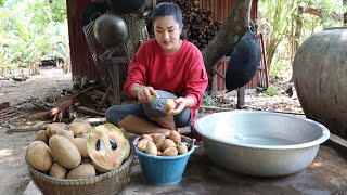 Harvest Sapodilla Fruit To Make Dried Sliced Sapodilla Fruit - Cooking With Sreypov