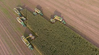 Mais 2023 : 5 John Deere Harvesters!!!! | 52 rows cut at once | Van den Tillaart | Harvest XXXL | 4K