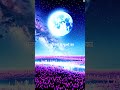 🌙 चाँदनी रात और फूलों की खुशबू | Starry Night & Flower Calm #NatureMusic #HealingSound
