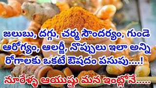 Proven Health benefits of Turmeric in Telugu | Turmeric health benefits