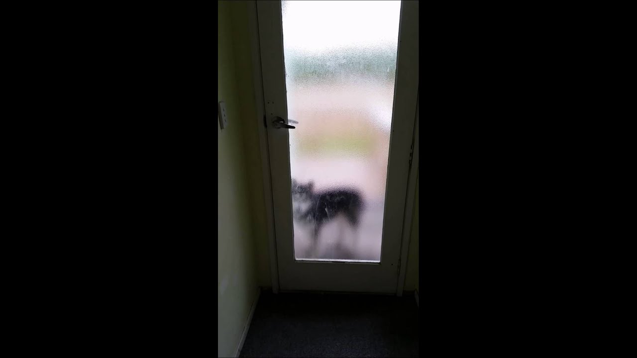 Ghost opening the door YouTube