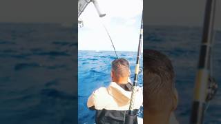 Asi vivimos cada jornada en el mar persiguiendo atunes junto a Columbia PFG en Puerto Rico 🇵🇷
