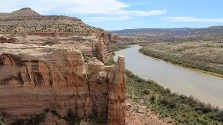 Steves Loop