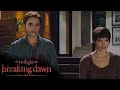 Family | Twilight Saga: Breaking Dawn - Part 1