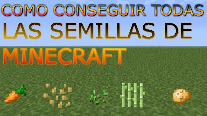 COMO PLANTAR, ACHAR E UTILIZAR O CACAU - MINECRAFT - Vidéo Dailymotion