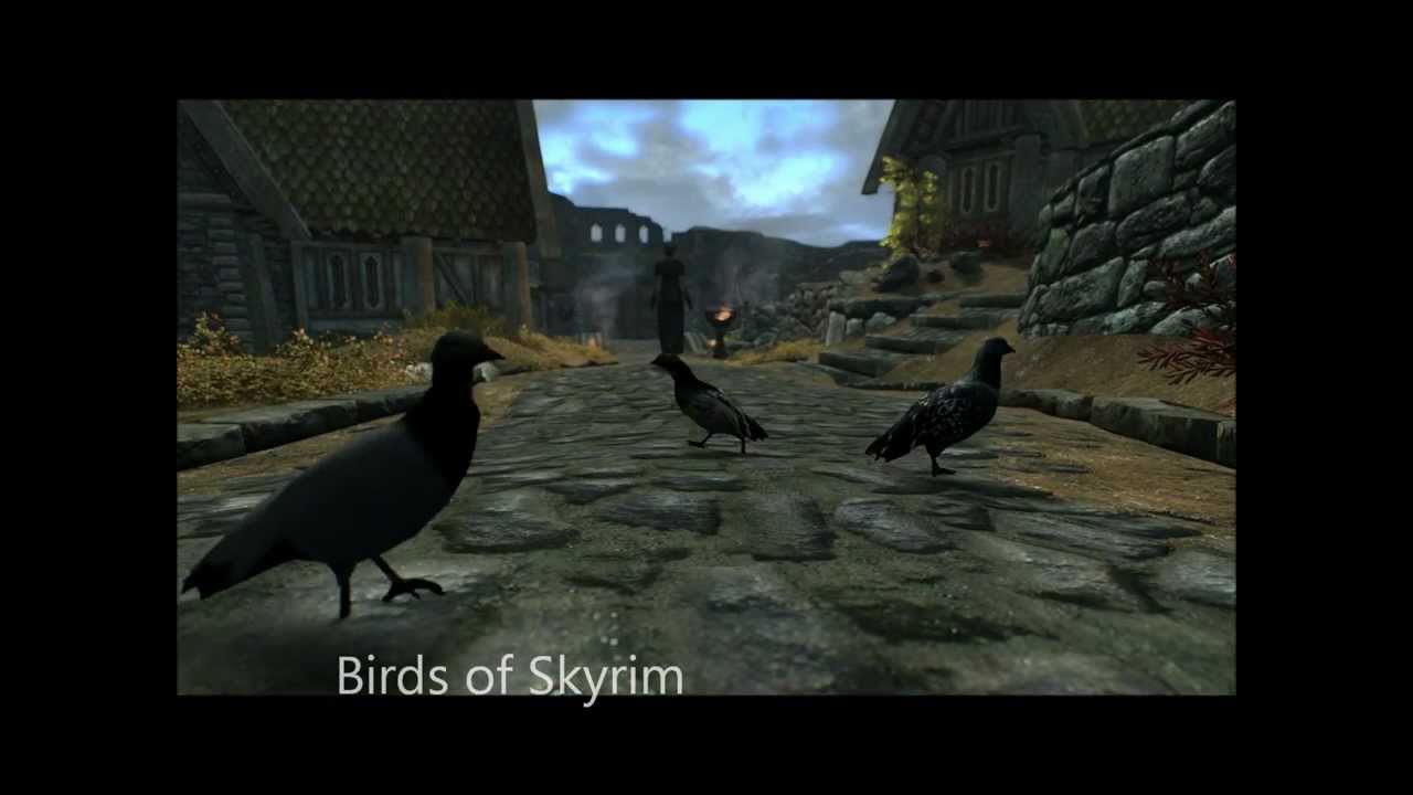 Skyrim Mod Birds Of Skyrim Youtube