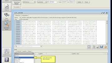 KoriBlast: displaying DNA/protein sequences and 3D stuctures