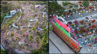 Welcome to JDM Bougainvillea Paradise  | Brgy. Perrelos, Carcar City, Cebu