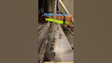 Snake Pendulum. Exploratorium. #sanfrancisco #usa #physics #shorts #museum