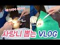 공포의 사랑니 뽑았습니다...ㅠ_ㅠ 마취 주사부터 뽑기 고통후기 VLOG (ENG,JP SUB)