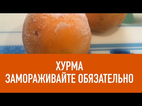 ХУРМА - ЗАМОРОЗЬТЕ ОБЯЗАТЕЛЬНО ! НЕ РИСКУЙТЕ ЗДОРОВЬЕМ. Польза и вред хурмы для здоровья. Питание