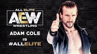 ”My thoughts On Adam Cole in AEW FKA all elite wrestling“