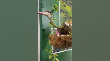 Kokan Festival 2025 | Mumbai | Nesco Exhibition Centre😍#shorts #mumbai #exhibition