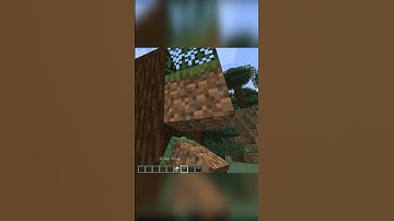 Huh Minecraft Logic 🙄 #shorts #minecraft #short