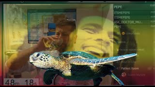 Bob Marley and Turtles - Dr. Murphy