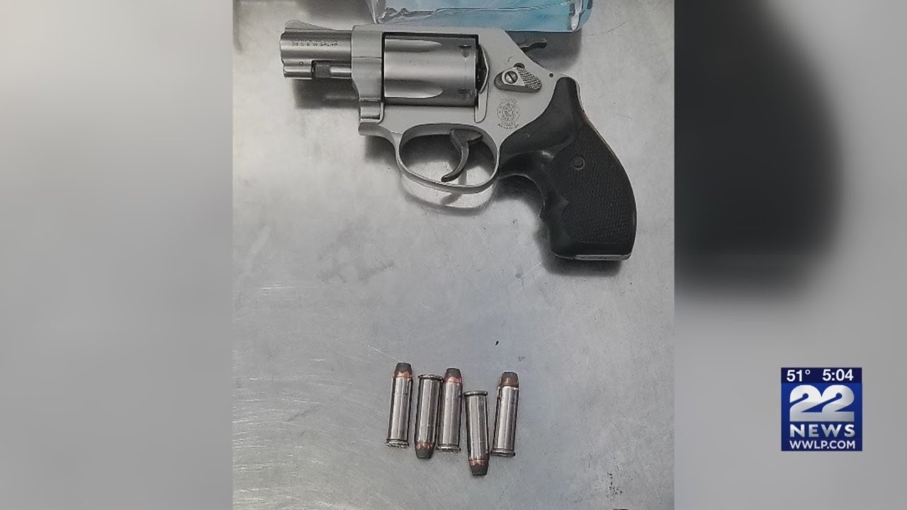 chicopee корм для собак отзывы TSA recovers second gun in three days at Boston Logan International Airport