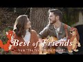 Best of Friends (from &quot;The Fox and the Hound&quot;) | Duet Version | The Hound + The Fox