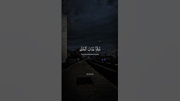 تلاوه هادئه تريح القلب بصوت || القارئ عبدالرحمن مسعد 🤍😴