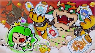 Super Mario 3D World haunted house theme mashup (Original + SMM2 edit)