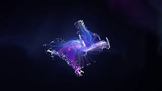 Honor 10 Commercial .c -cn