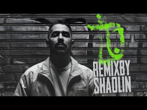 Bushido - Yin und Yang (Shaolin RMX) [prod. 38 Beats]