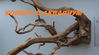 Коряга в аквариум Коряга в аквариум