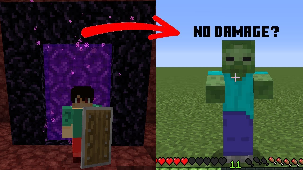 Nether Portal shield GLITCH?! YouTube