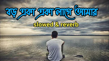 বড় একা একা লাগে আমার | Boro Eka Eka Lage Amar | Bengali Lofi Sad Song [ slowed & reverb ]