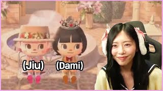 dami visiting jiu's animal crossing island 🐰 다미가 지유의 동물의 숲섬 방문 할때