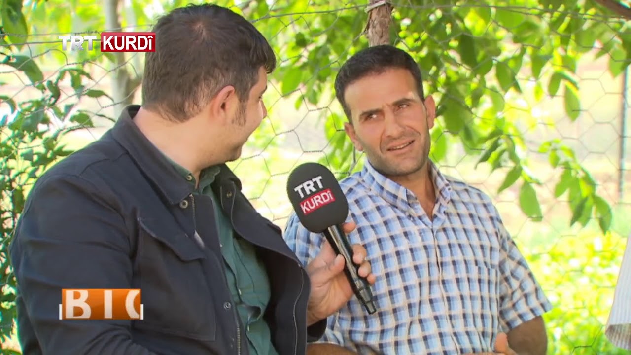 BIGEYR BIVİN GEZELİM GÖRELİM BEŞA 3