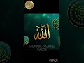 allah edit 🔥🥵 ep 8/10 #islamicknowledge ||@Islamic_moral_facts-864