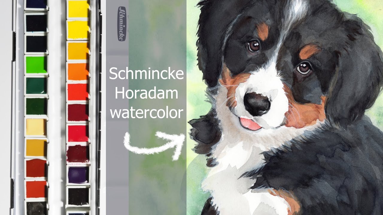 Puppy Portrait with Schmincke Horadam watercolor, my first professional set!