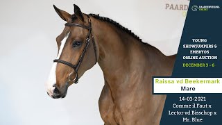 Raissa van de Beekermark - Young Showjumpers Online Auction - Paardenveilingonline.com