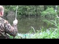 Tench fishing 1