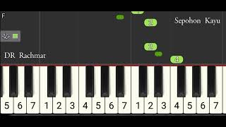 Sepohon Kayu // Not Bellyra // Not Pianika