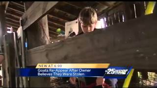 Okeechobee family's show goats mysteriously re-appear after believed to be stolen