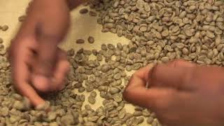hand sorting