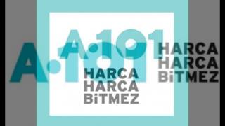 A101 Hissedarları 2016