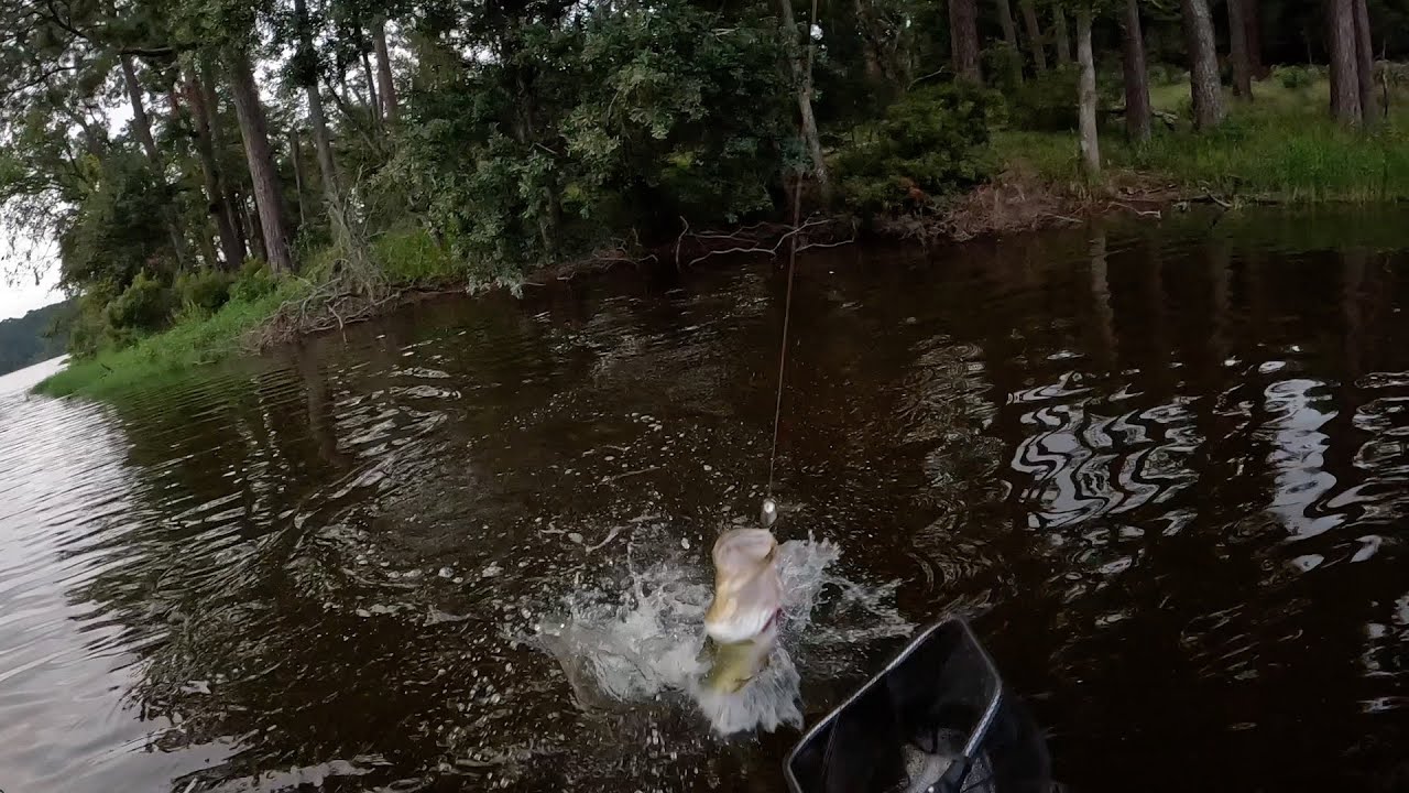 Labor Day Kayak Bass Fishing