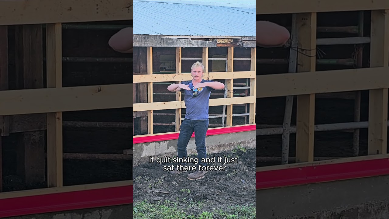 This part of the old barn will stand strong for many more years! 💪 