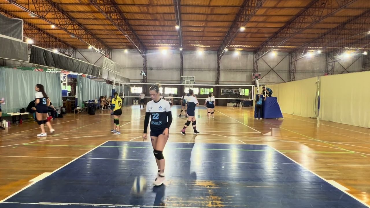 APV VS CSF/ PRIMER SET