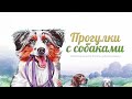 Прогулки с собаками — хорошая настольная игра #трейлер 🐕🚶‍♂️🚶‍♀️