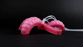 Video Soft Robot Frankie