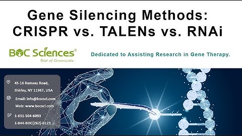 Gene Silencing Methods - CRISPR vs. TALENs vs. RNAi - siRNA - sgRNA - BOC Sciences